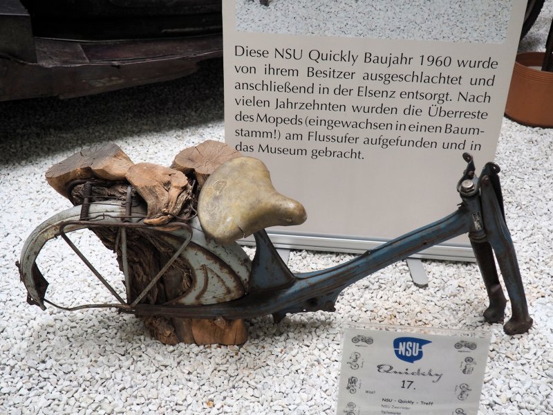 P6186826-b.JPG