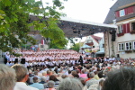 Open-Air-Konzert Holzgerlingen lebt (2007)